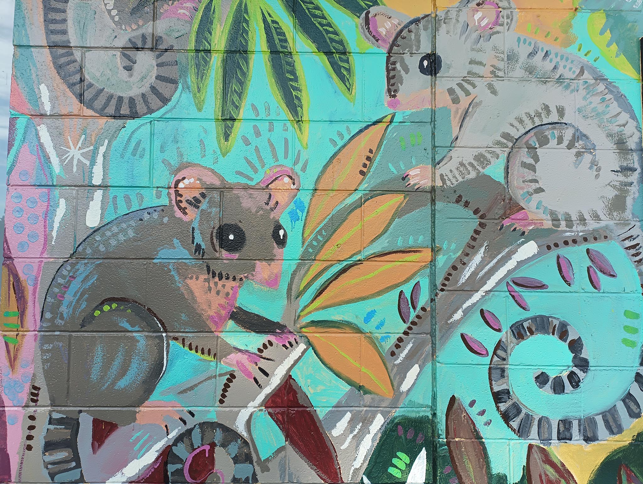 Exterior Possum mural on the Tilligerry Arts Group Gallery building in Lemon Tree Passage.