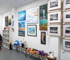 Paintings displayed on gallery walls at the Tilligerry Arts Group Gallery.